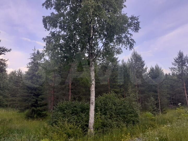 Участок 1,96 га (СНТ, ДНП)