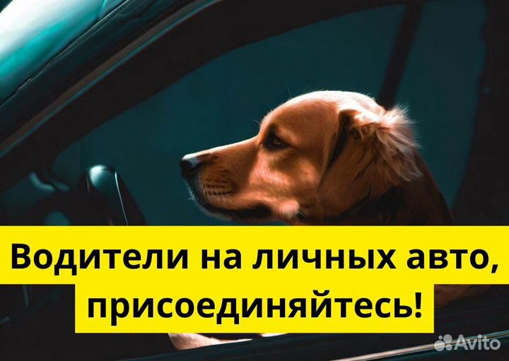 Стань водителем на своем т/с в Яндекс.Go