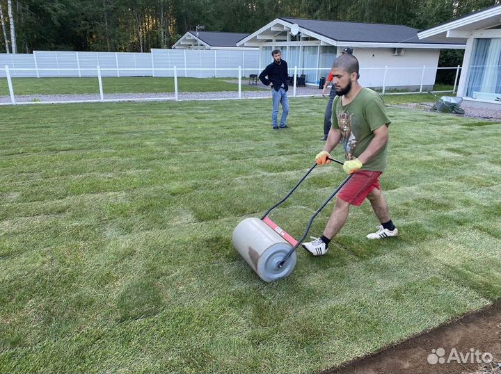 Рулонный газон эконом