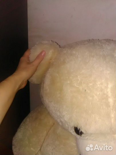 Плюшевый медведь