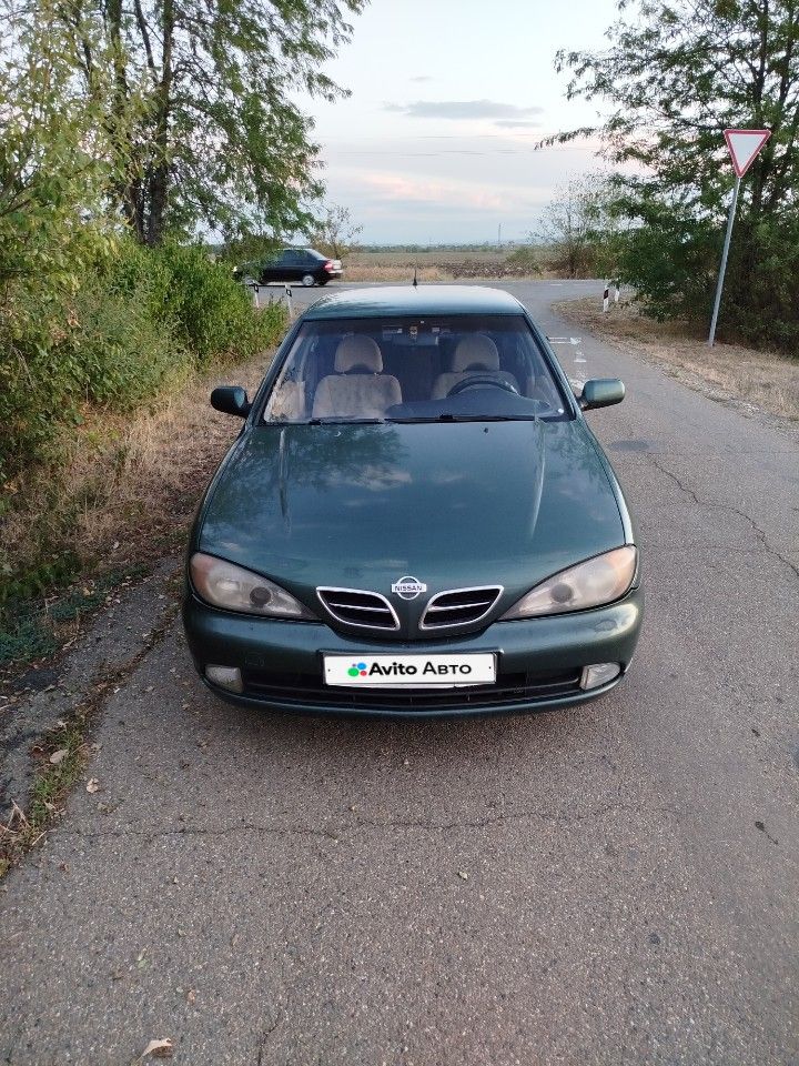 Nissan Primera: фото владельца