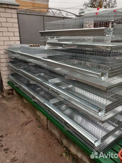 Перепелиная клетка на 10 шт в сборе