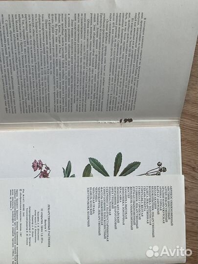 Открытки – 