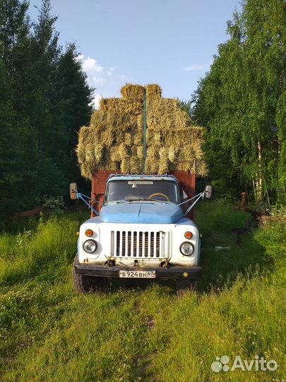 Сено в тюках