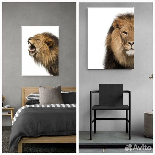 Постеры в рамке Рычащий лев 30x40 см