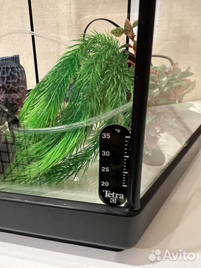 Аквариум Aquael Hexa-Set 60 шестигранный аквариум