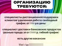 Специалист дистанционной поддержки