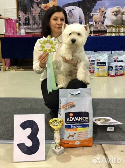 Вязка мальчик