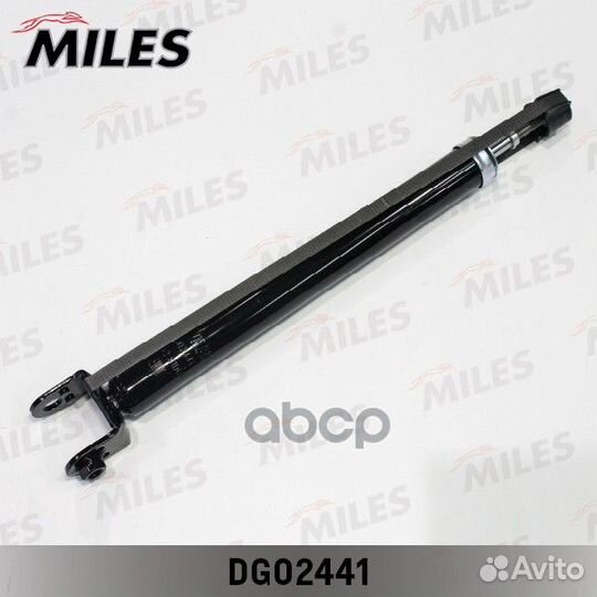 DG02441 DG02441 Miles