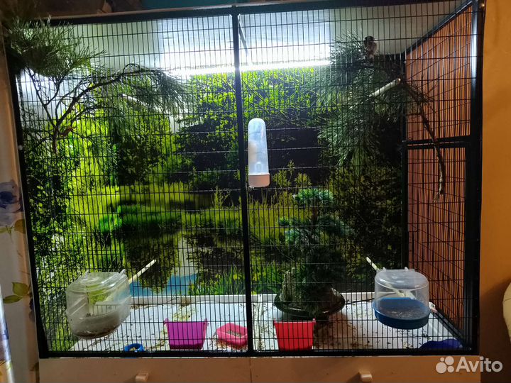 Клетка вольер для птиц