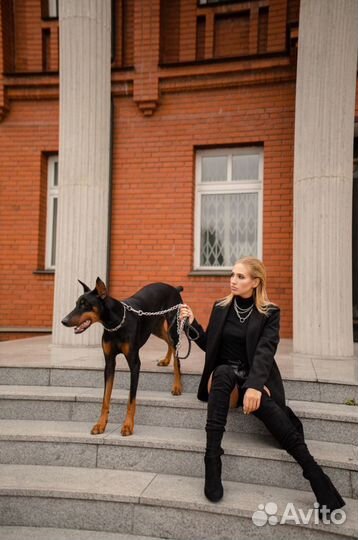 Фотосессия с доберманом
