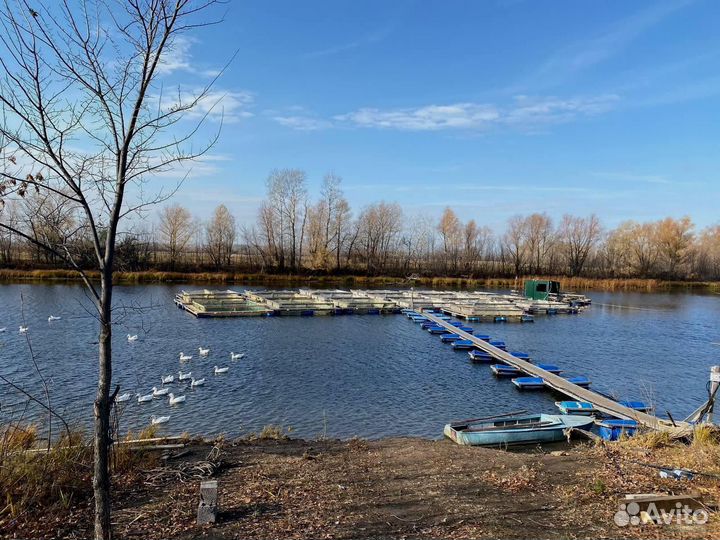 Садок для выращивания рыбы