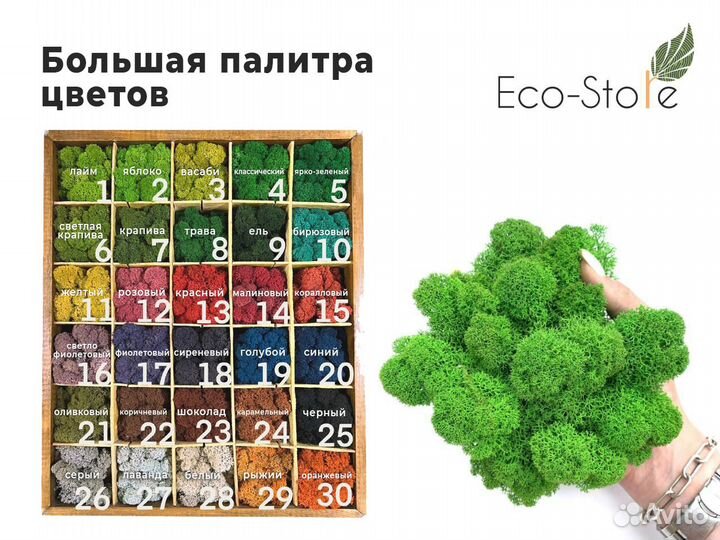 Панно микс мха + растения 50 см