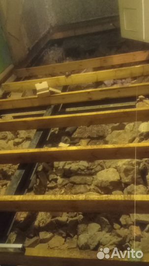 Строительство и ремонт домов, бани, дачи