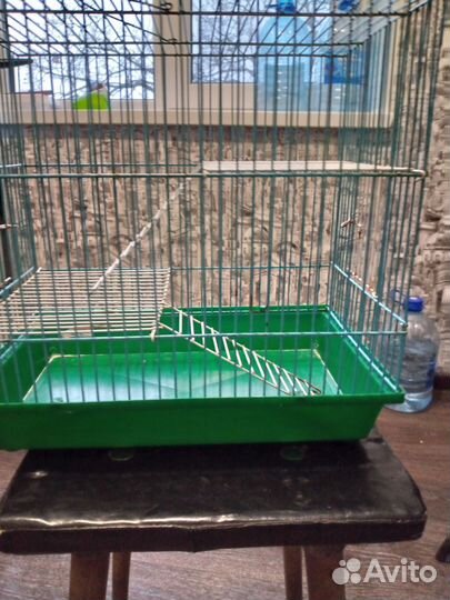 Клетка для крыс в хорошем состоянии