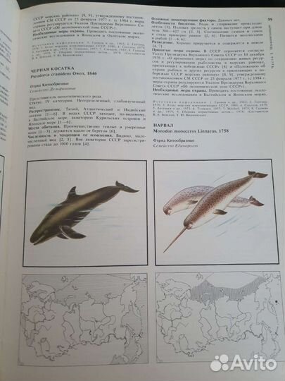 Красная книга СССР 1 том