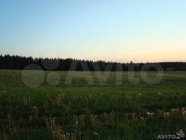 Участок 100 сот. (СНТ, ДНП)