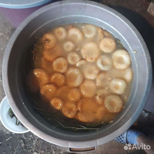 Продам сухие, сырые грузди солёные