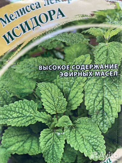 Мята (шоколад, апельсин), мелисса