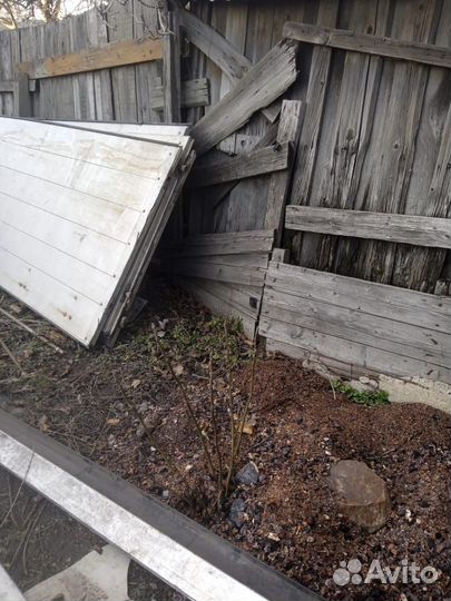 Ворота Шмитц