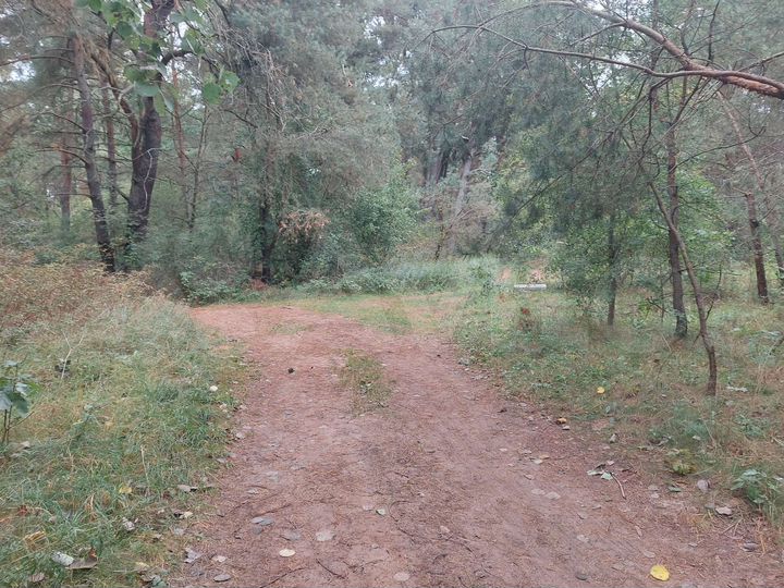 Участок 6 га (СНТ, ДНП)
