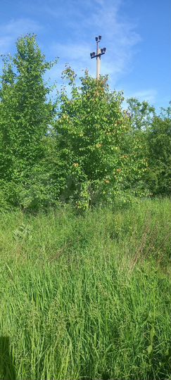 Участок 11 сот. (ИЖС)