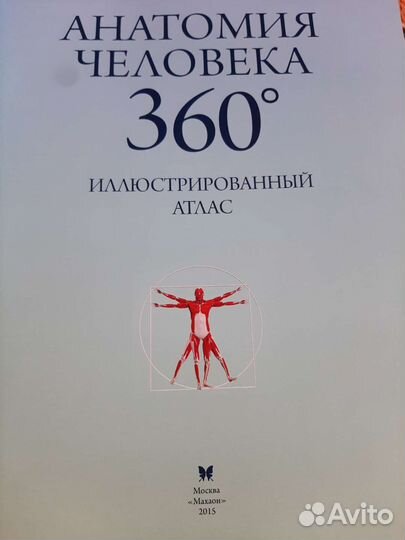Анатомия человека 360
