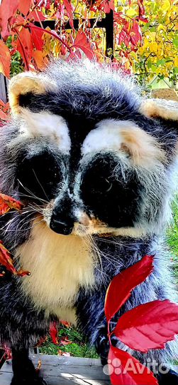 Мягкая игрушка Енот ручной работы