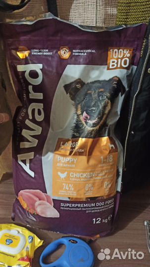 Корм для собак