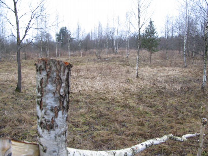 Участок 15 сот. (ИЖС)