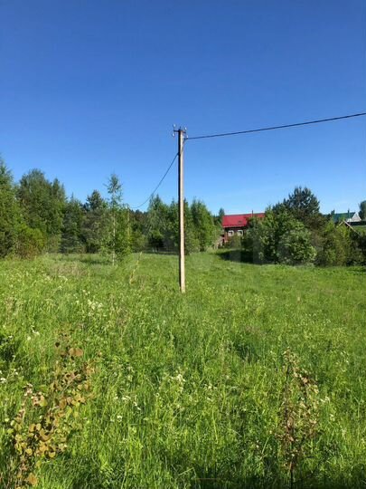 Участок 1,55 га (СНТ, ДНП)