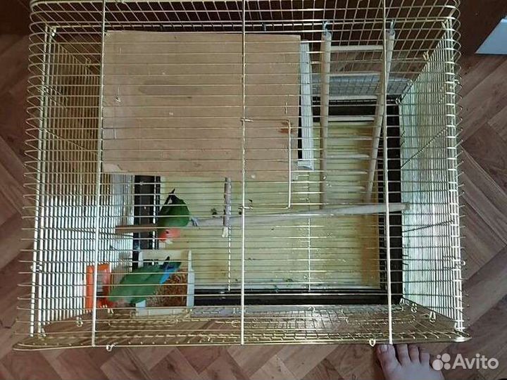Клетка для попугая