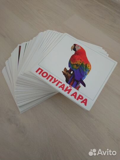 Набор развивающих карточек