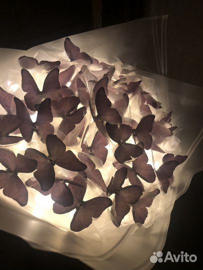 Букет из бабочек