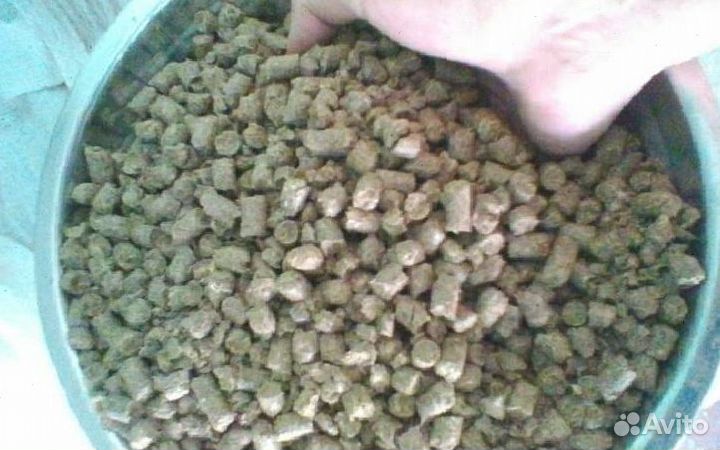 Пивная дробина