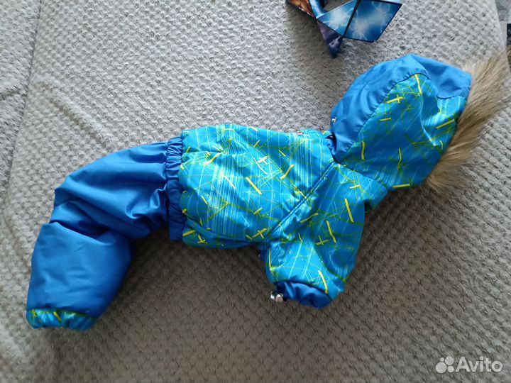 Одежда для маленьких собак