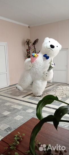 Меховой белый надувной мишка 2,6м. Ростовая кукла