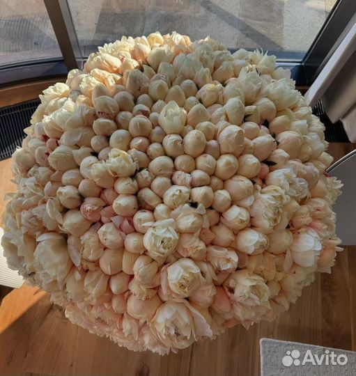 Букеты 101 пион