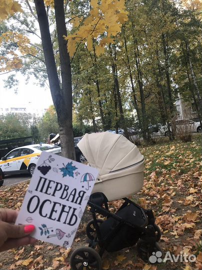 Коляска Tutis Viva life 2 в 1