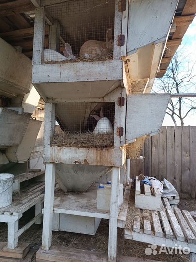 Крольчатник