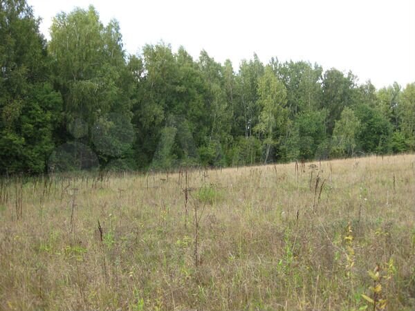 Дача 60 м² на участке 30 сот.