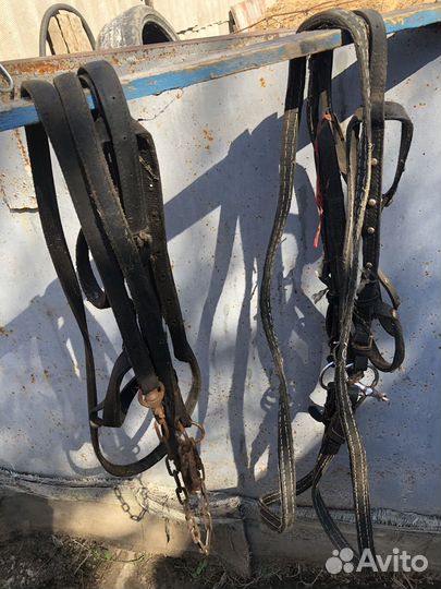 Седло, уздечки