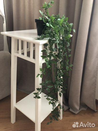 Искусственная зелень, Традесканция