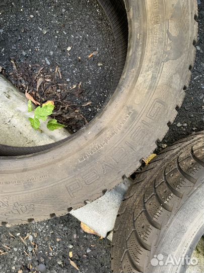 Gislaved Nord Frost 5 205/55 R16 19H