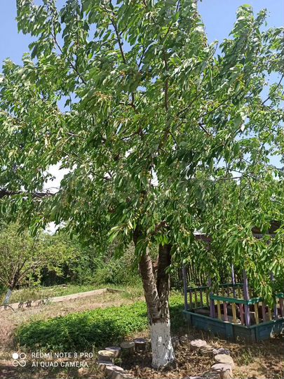 Дача 25 м² на участке 9 сот.