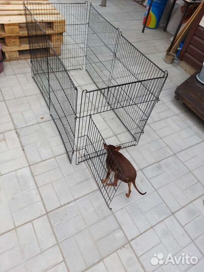 Вольер для собак