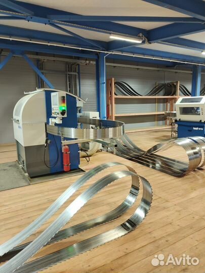 Заточник (без опыта)