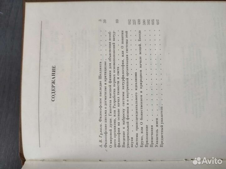 Шеллинг, Соловьёв Владимир - философское наследие