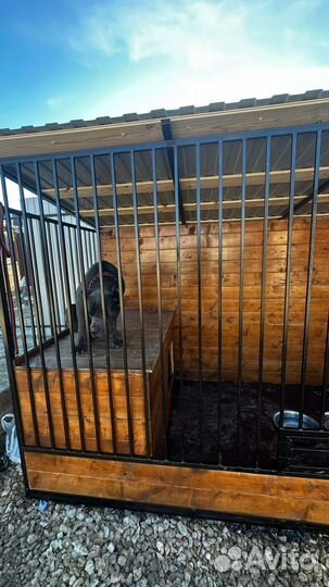 Вольер для собак крупных и средних пород