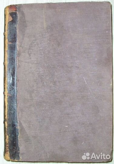 Человек и Земля. Том 3. Реклю Э. 1907г